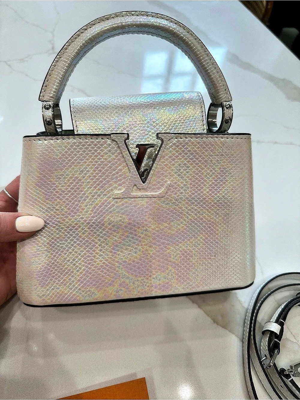 LOUIS VUITTON IRIDESCENT KARUNG LEATHER CAPUCINES MINI